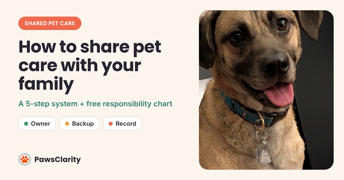 Pet Care Responsibilities With Your Family